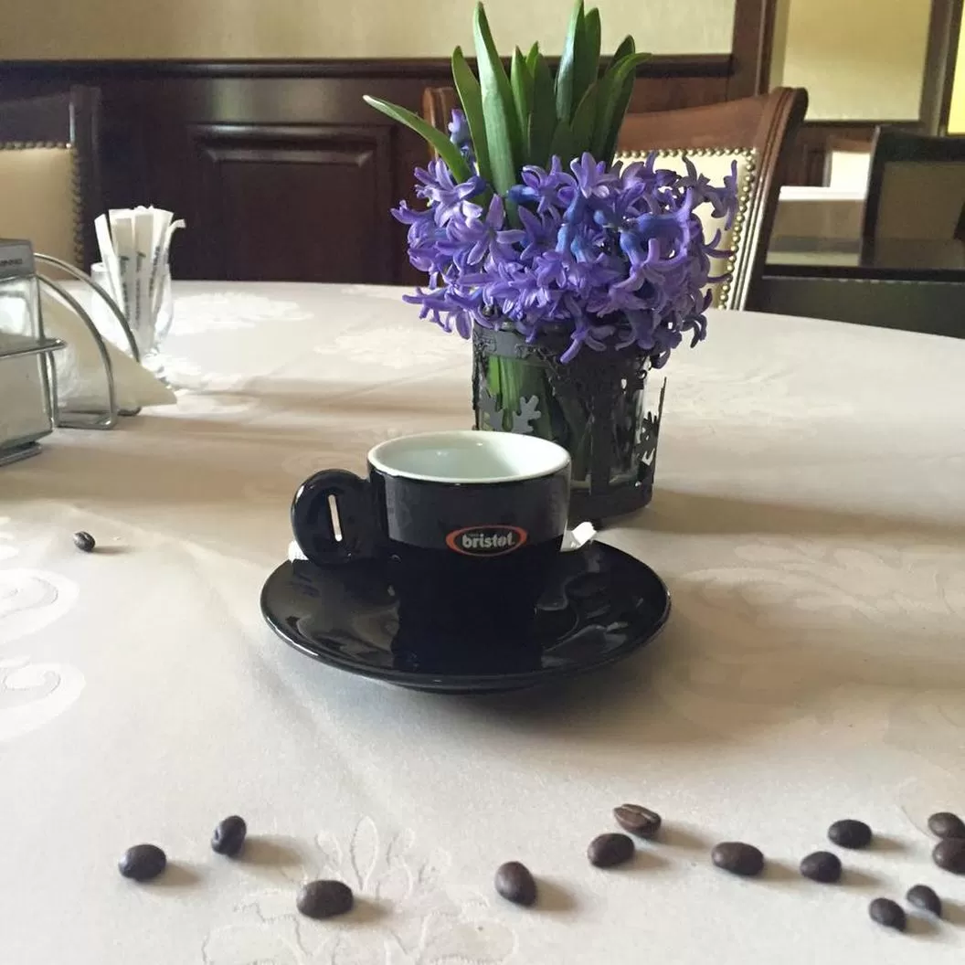 Vacanta pe plaiurile razesilor Trifesti Iasi Hotel la Domenii****
