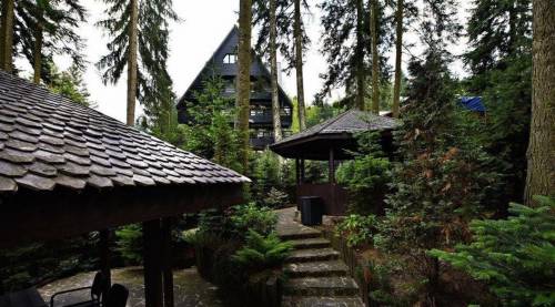 Sejur odihna 2023 Sinaia Hotel Smart****