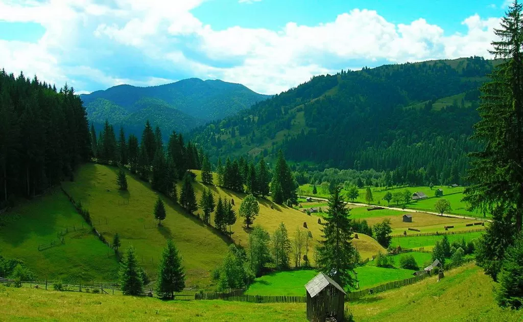 Vacanta in Bucovina - Putna Pensiunea Musatinii****