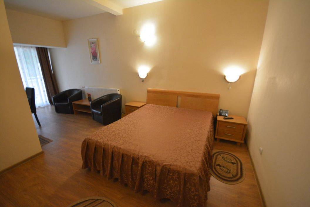 Week-end Relaxare 2025 Geoagiu Bai Hotel Aida