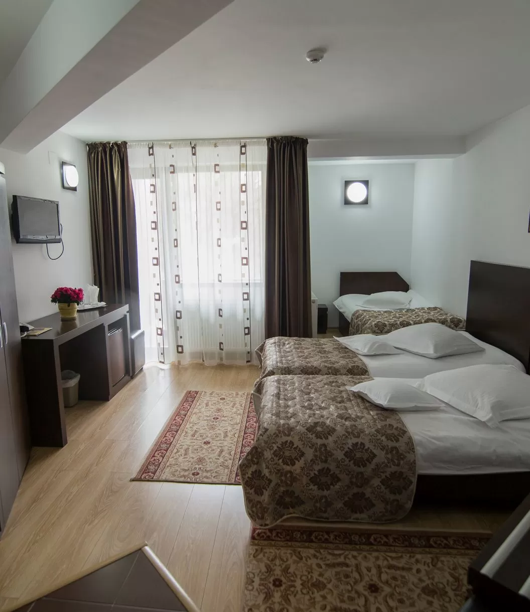 Cazare 2023 Targu Neamt Casa Arcasului***