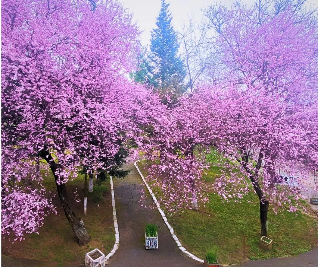 Sejur Odihna 2026 Baile Felix Hotel Muncel