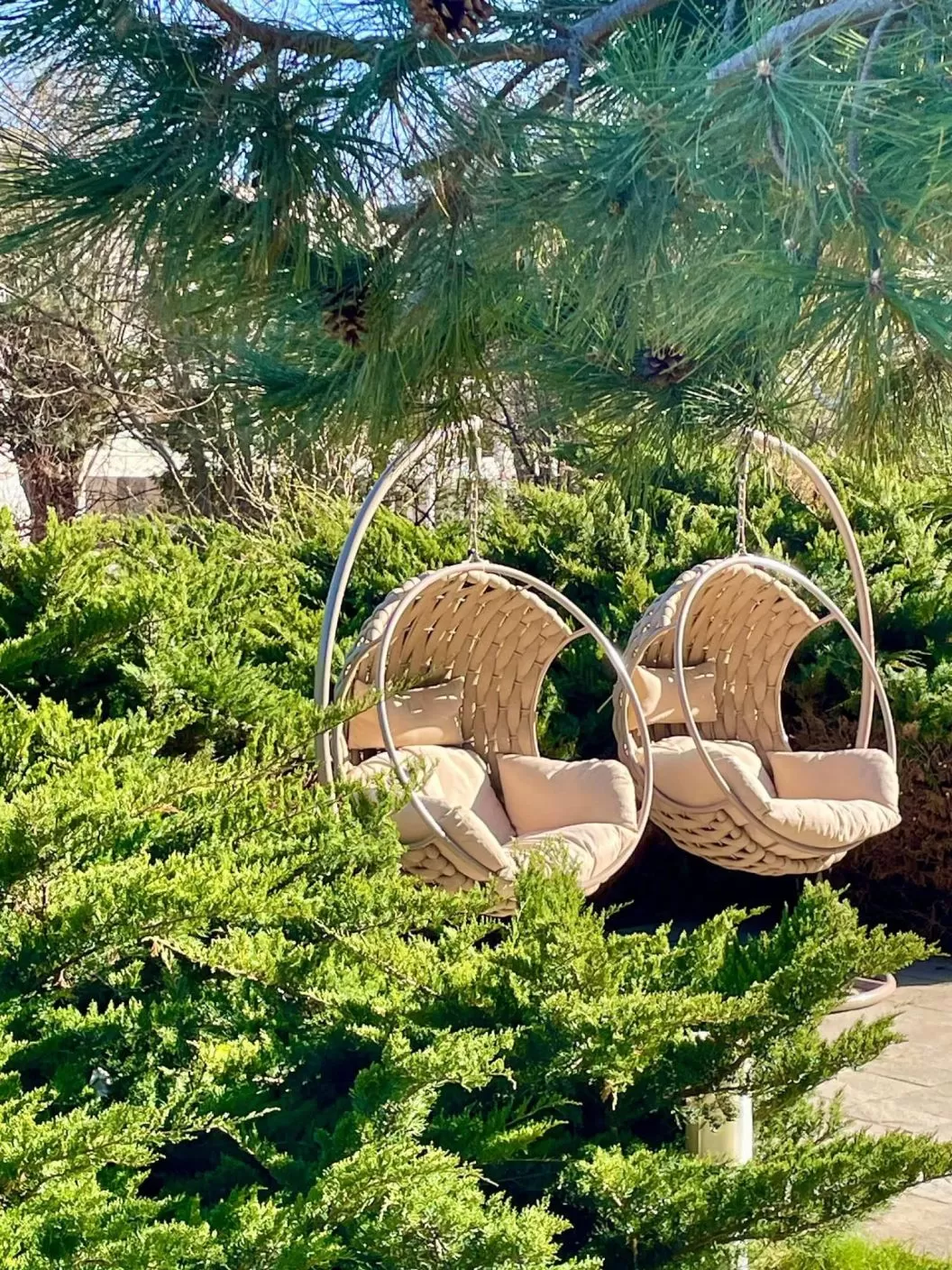 Pachet Creste-ti Imunitatea 2025 Eforie Nord Hotel Europa