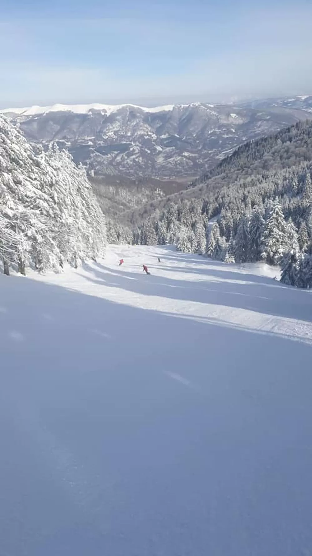 Revelion 2025 la Schi in Straja Cabana Edelweiss