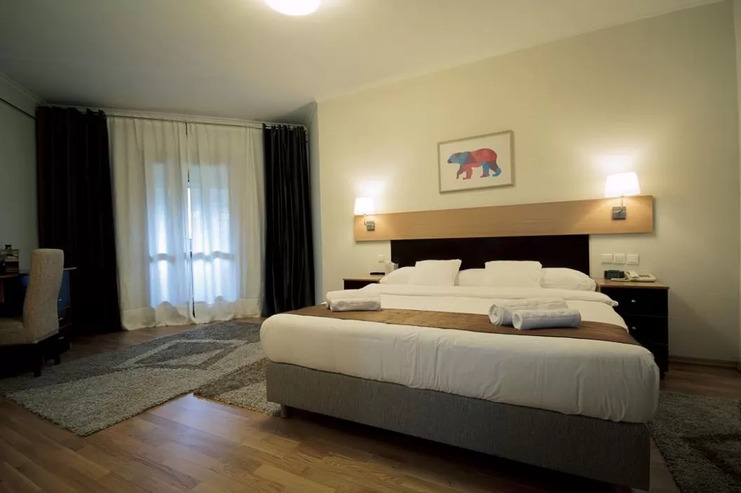 Revelion Ski 2023 Brzece Serbia Apartamente JUNIOR